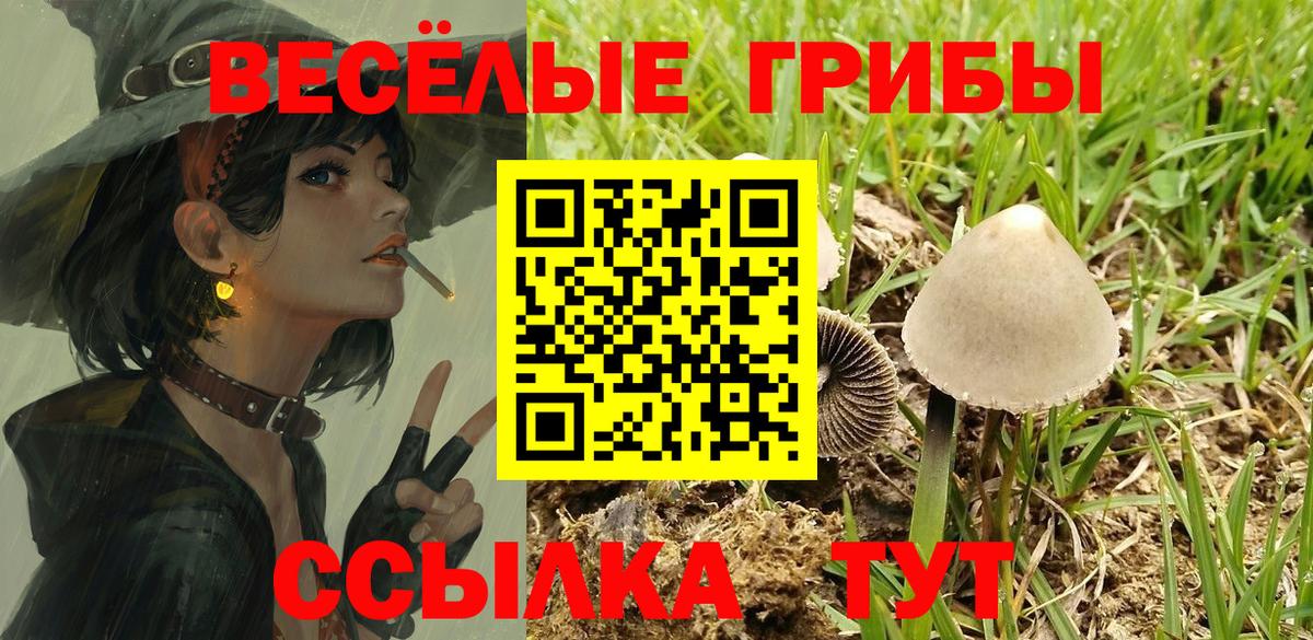 Псилоцибиновые грибы мухоморы Гусиноозёрск