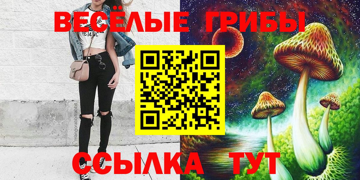 где продают   Вход с VPN  Гусиноозёрск  Галлюциногенные грибы MAGIC MUSHROOMS 